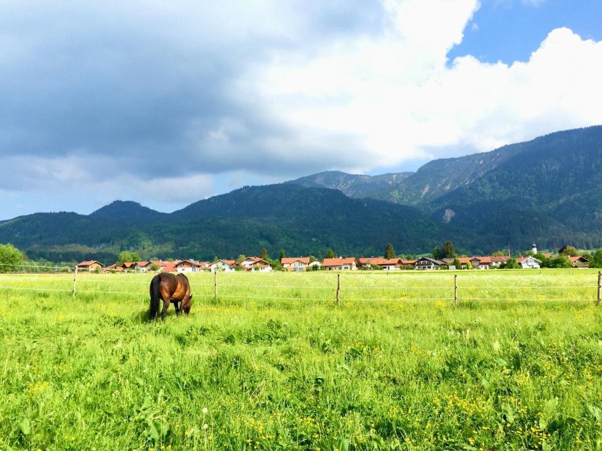 Im Herzen Von Ohlstadt Und Am Fusse Des Heimgartens Bagian luar foto